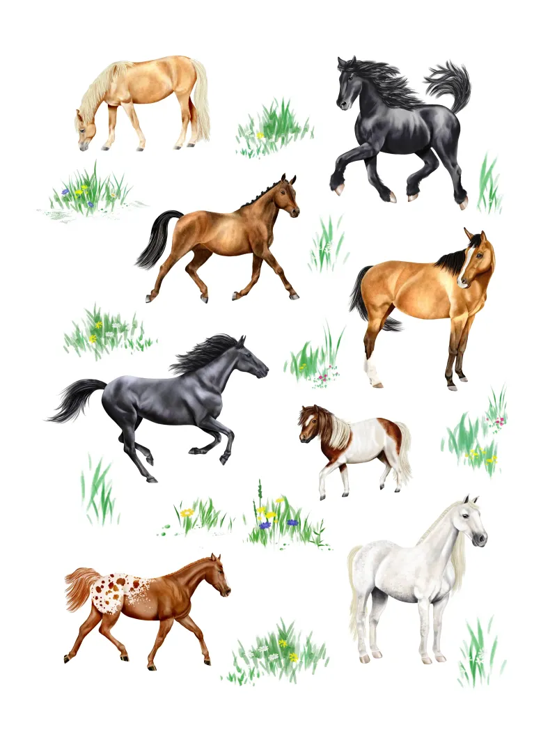 Cavalli e pony n. 03 carta hahnemühle da Moonlit Illustrations