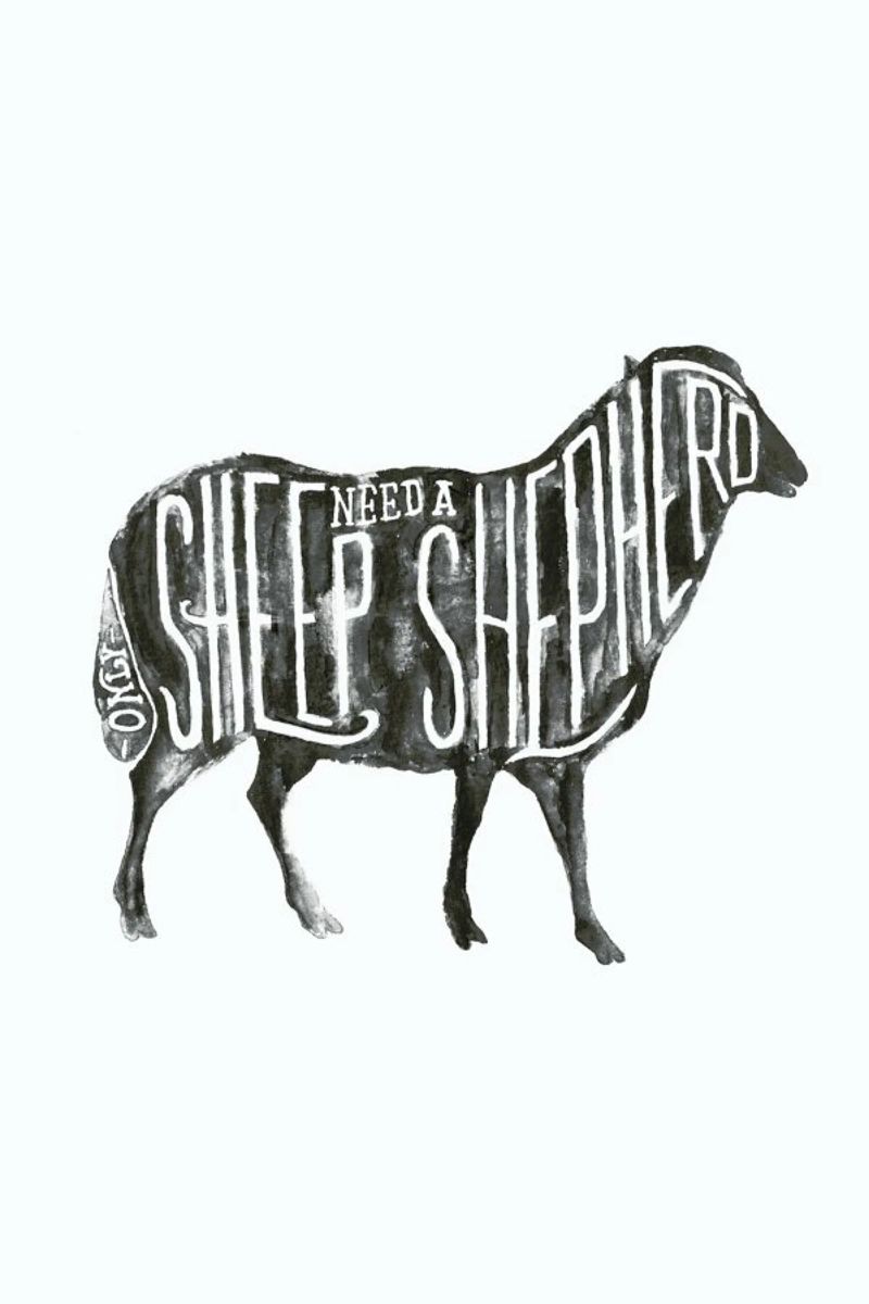Sheep Need A Shepherd pellicola backlit da JONATTEND