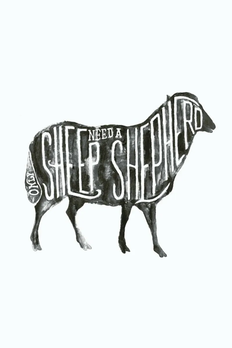 Sheep Need A Shepherd carta hahnemühle da JONATTEND