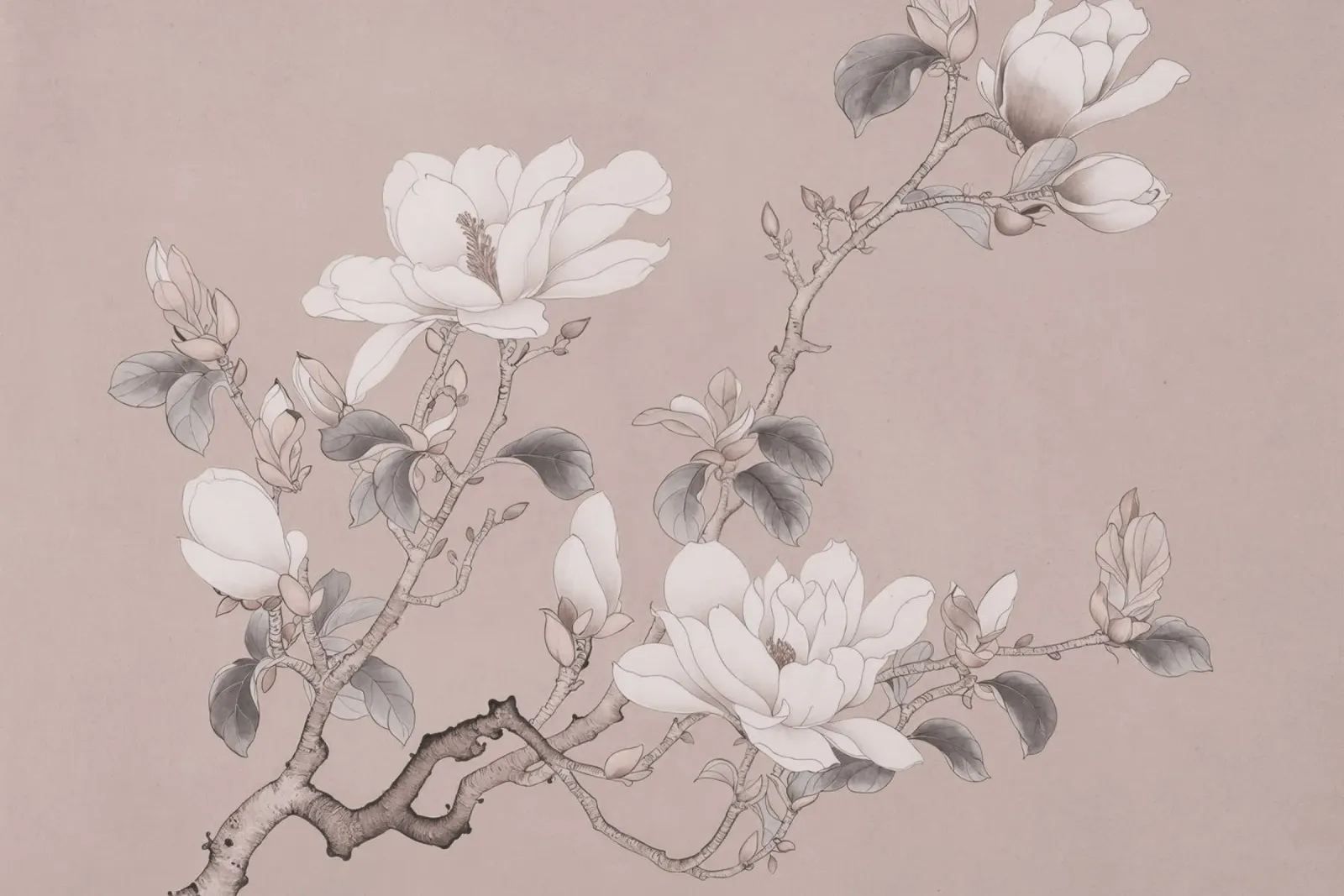 Vintage Chinoiserie Magnolia Blush Pink poster with wooden frame by Andrea Haase Vintage World