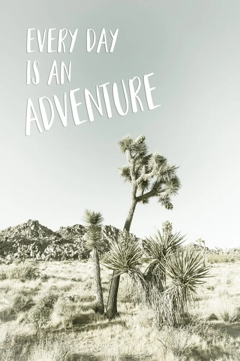 Every day is an adventure | Desert impression pellicola backlit da Melanie Viola