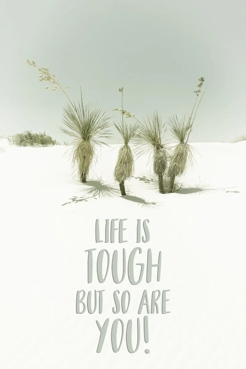 Life is tough but so are you | Desert impression alluminio dibond da Melanie Viola
