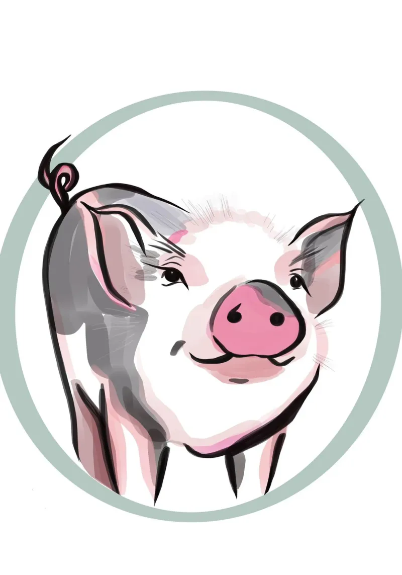 Illustration d'un petit cochon mignon avec un nez rose poster avec cadre en plastique de Lisa Jureczko Arts Illustration