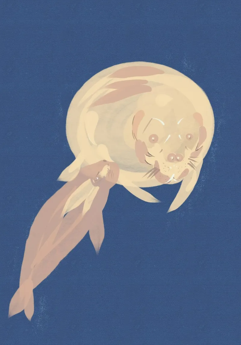 Madre di lamantino con il suo bambino Illustrazione poster con telaio in legno da Lisa Jureczko Arts Illustration