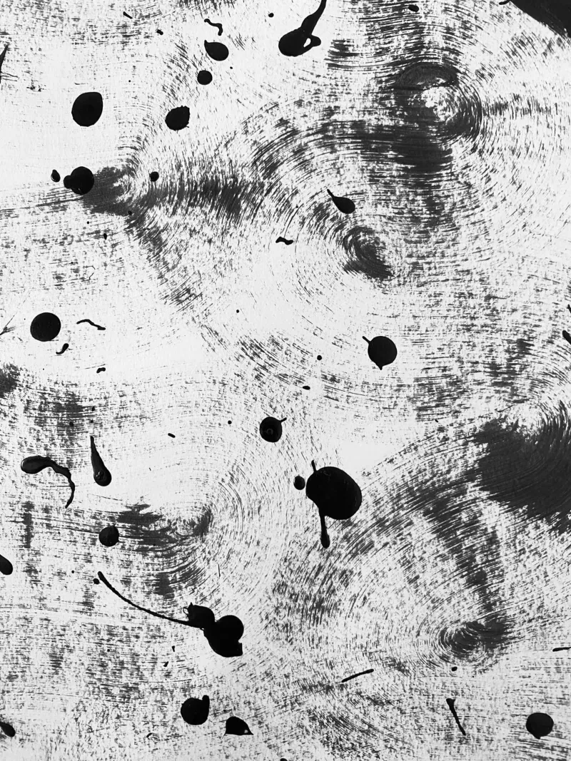 Schizzi di vernice nera su sfondo bianco I pellicola backlit da Lisa Jureczko Arts Illustration