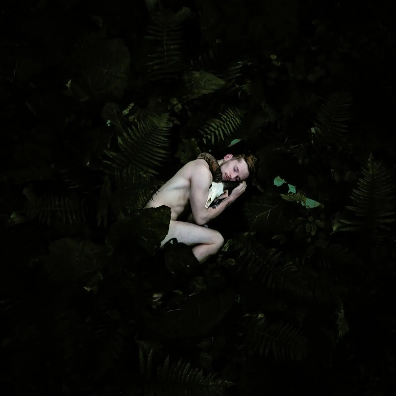 Back To Nature - Michal Zahornacky carta hahnemühle da Pictufy