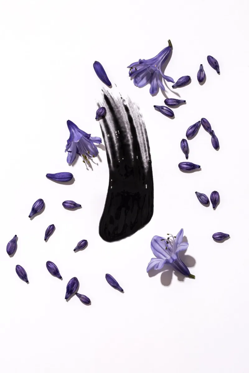 Vernice nera e fiori lilla poster da Lisa Jureczko Arts Illustration