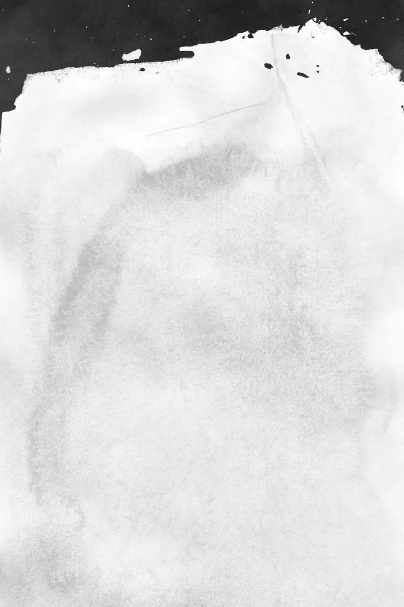Paesaggio minimale in bianco e nero 01 pellicola backlit da amini54