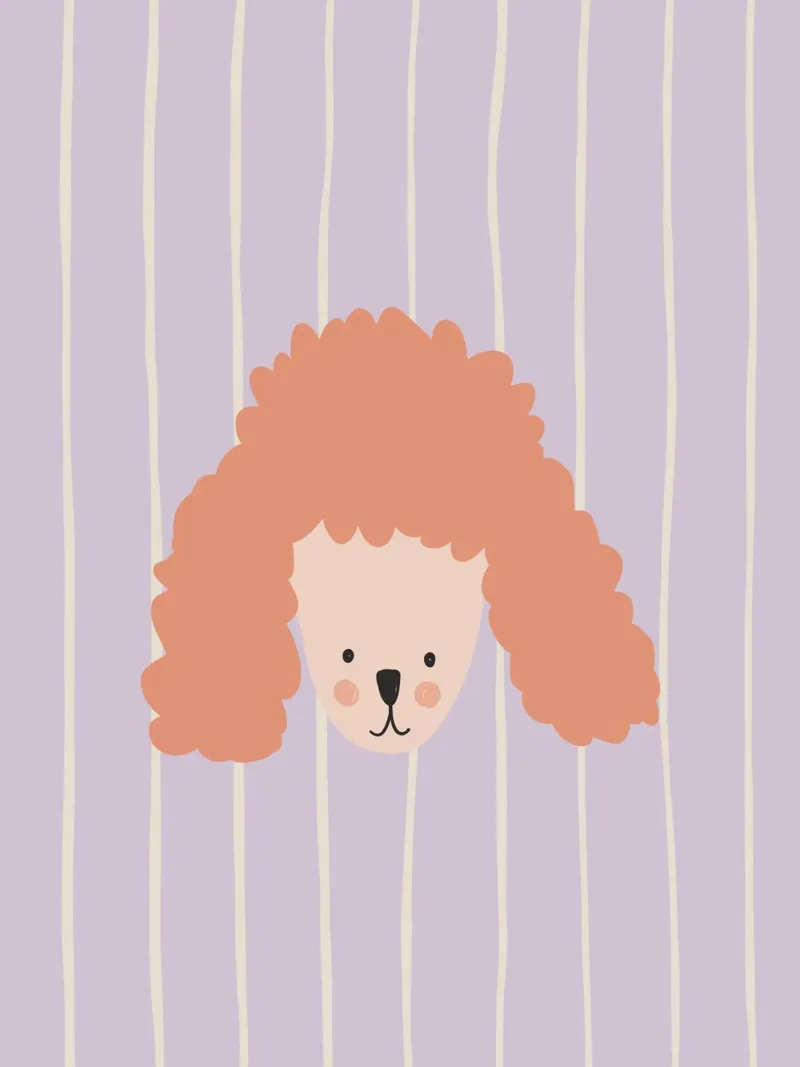 Funny Poodle tela con Cornice a cassetta da AleksandraAnna