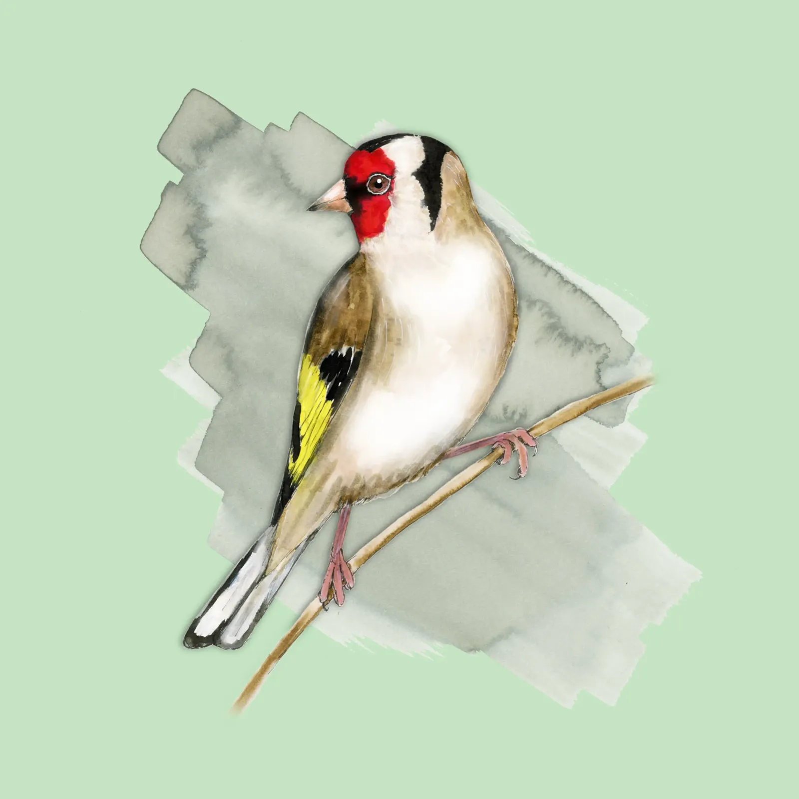 Goldfinch watercolor forex plate by BwiseLizzy