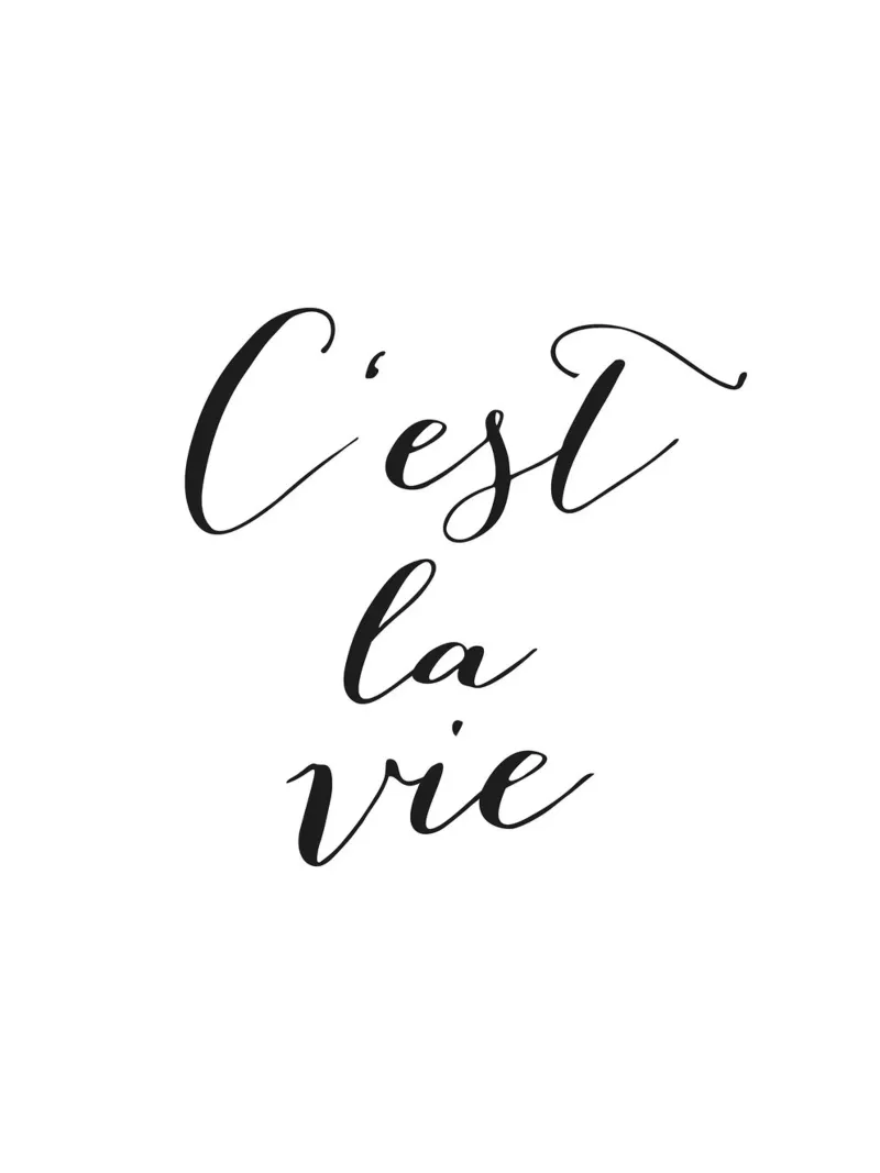 C'est la Vie - Elegante design tipografico pellicola backlit da Whole©