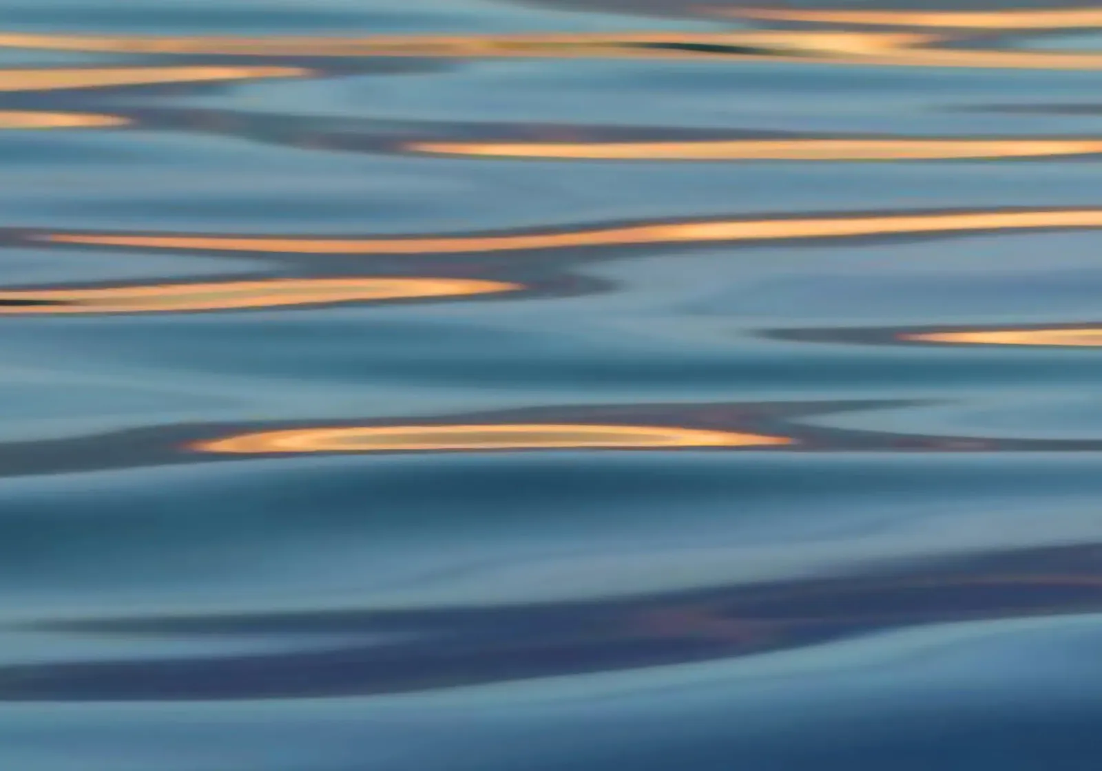 Lights on the Water hahnemühle by menega sabidussi | moods