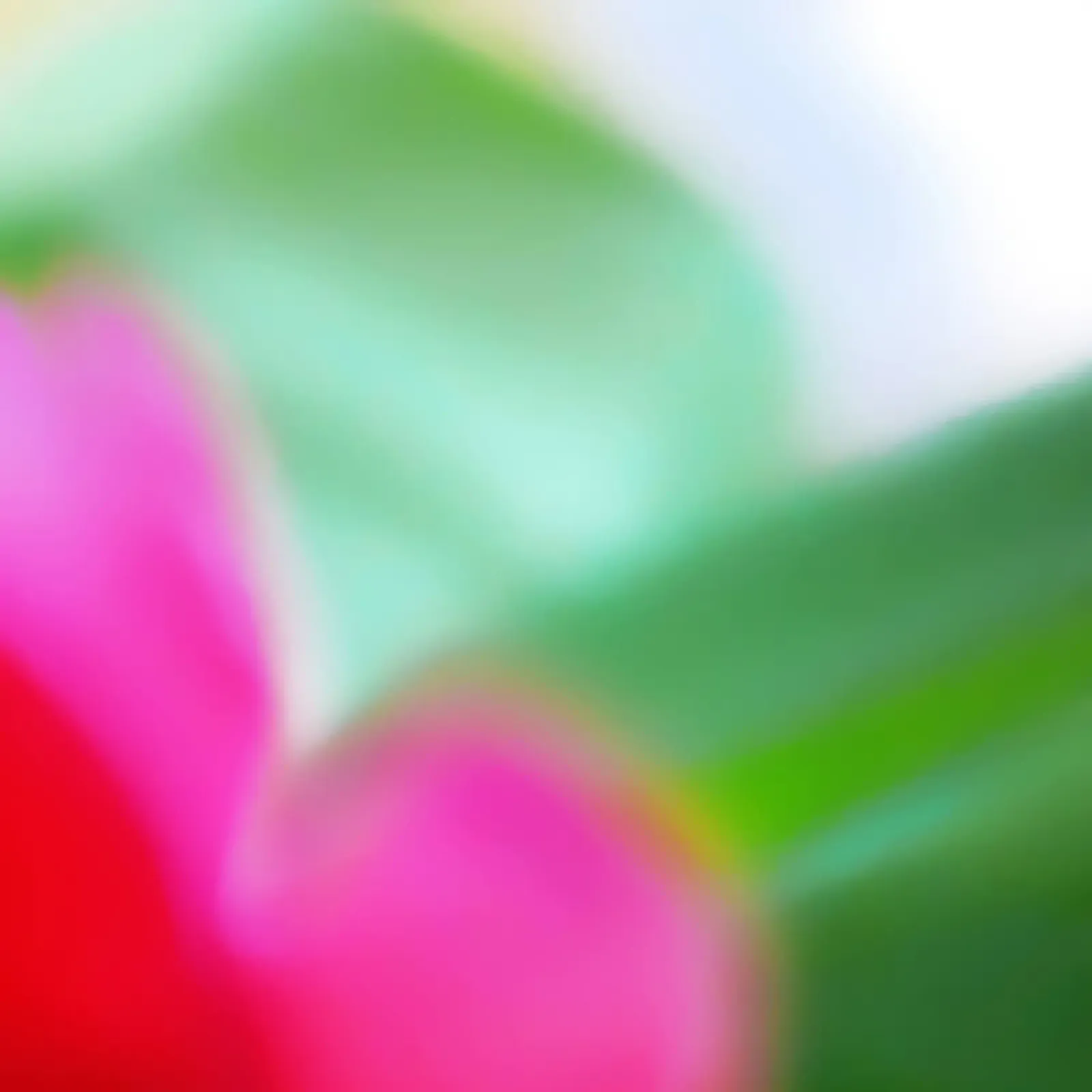 Colors of Spring 2 poster da menega sabidussi | moods