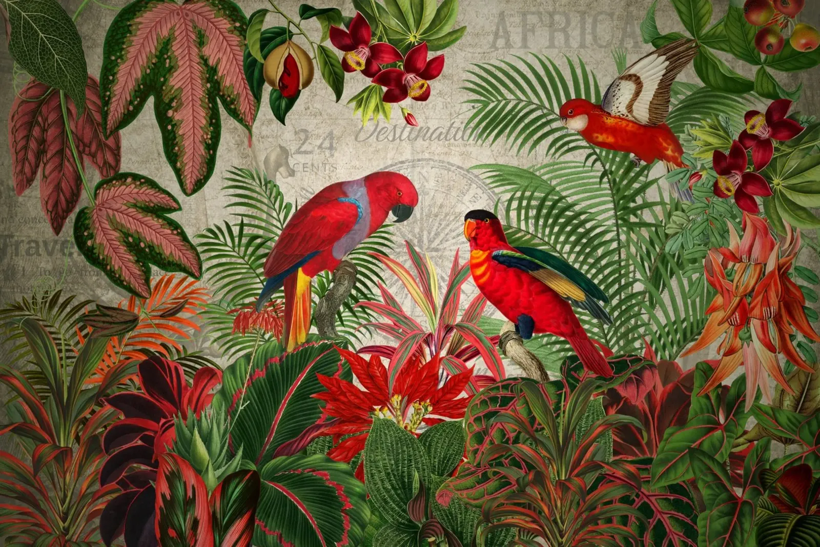 Giungla selvaggia tropicale vintage con cacatua rossi pellicola backlit da Vintage World - Uta Naumann