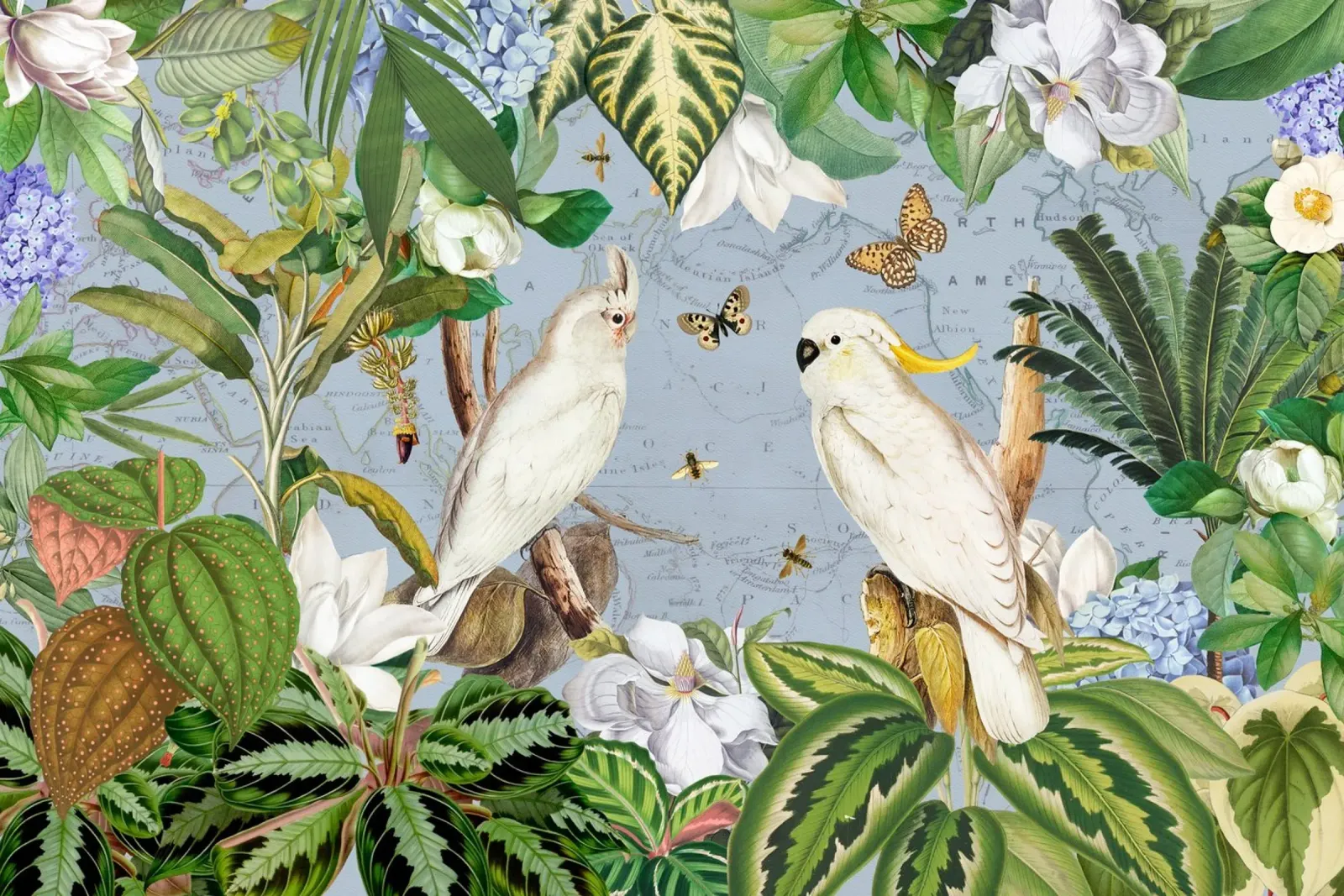 Cacatua bianchi Vita selvatica tropicale Vita esotica della giungla pellicola backlit da Vintage World - Uta Naumann