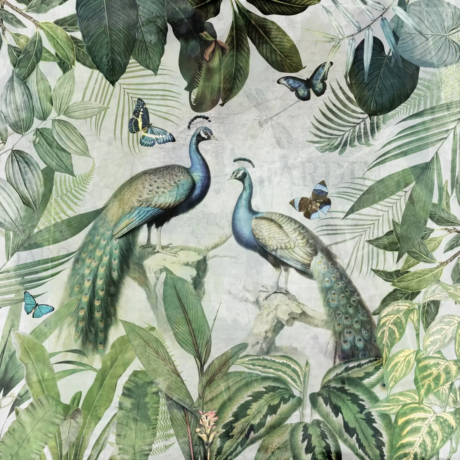 Exotic Blue Peacocks Birds Jungle Landscape backlit film by Vintage World - Uta Naumann