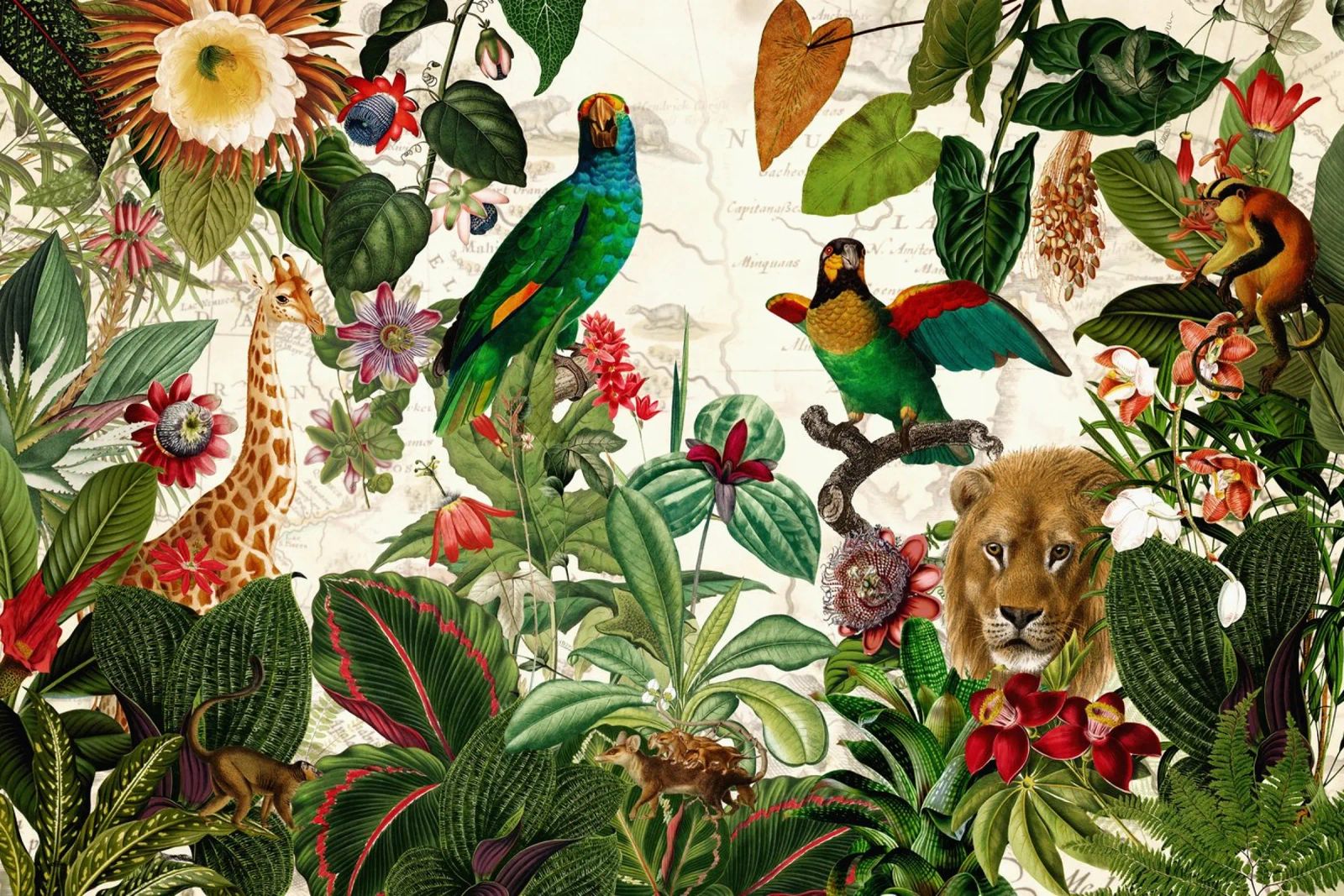 Tropische wilde dieren Jungle Safari landschap poster van Vintage World - Uta Naumann
