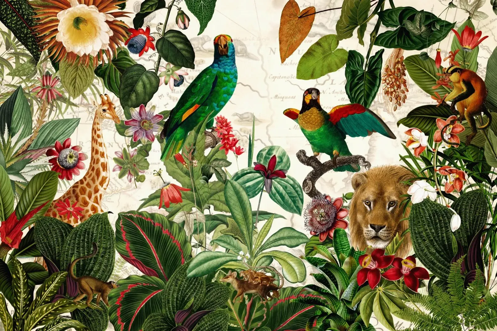 Animales salvajes tropicales Paisaje de safari en la jungla poster con marco de madera de Vintage World - Uta Naumann