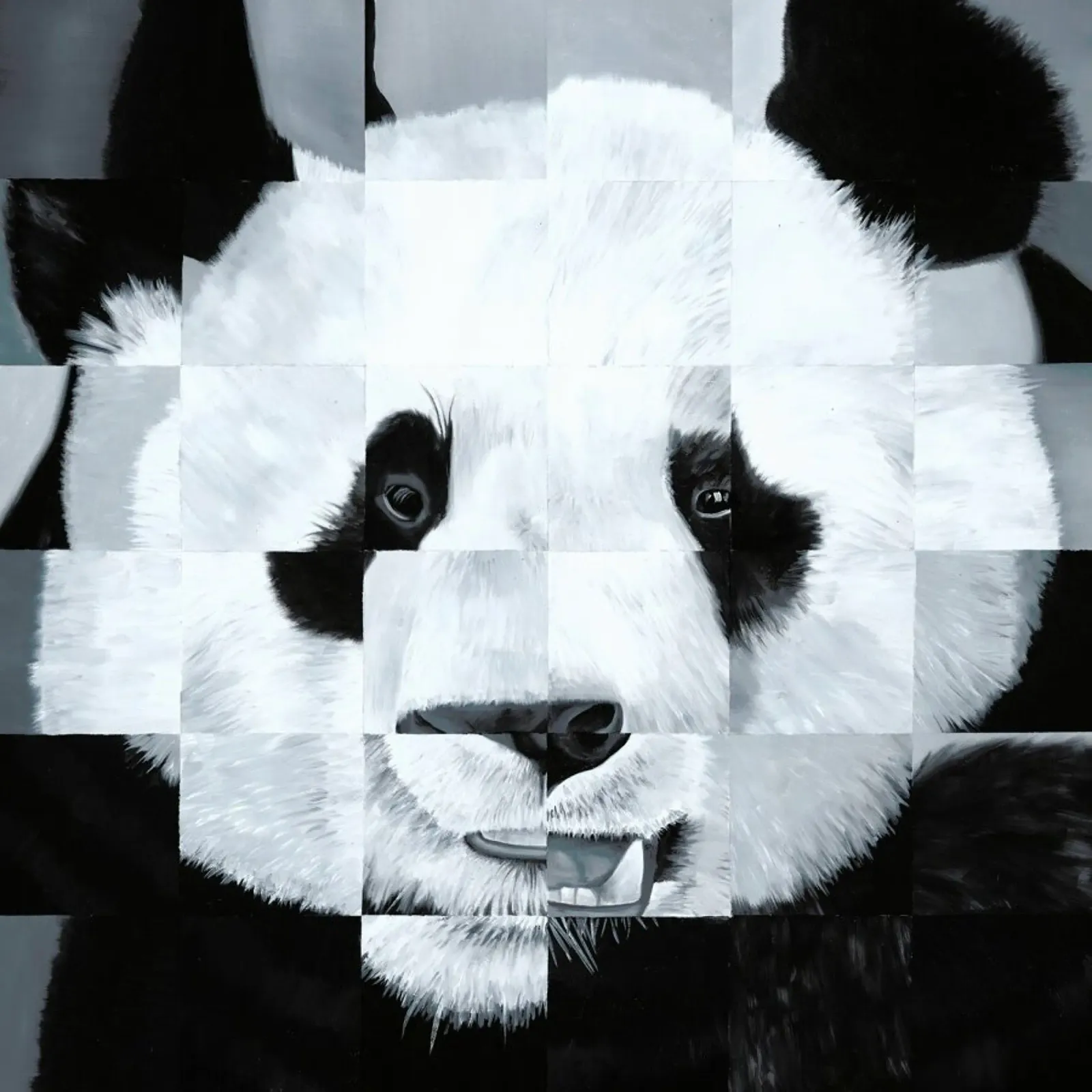 Panda poster con telaio in legno da Allison Chaplin