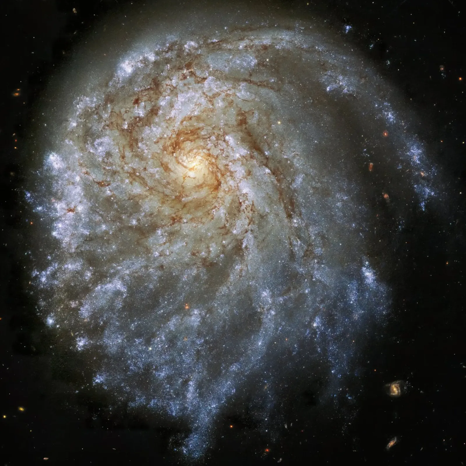 hubble telescope high definition image canvas by ARTVI-SHOP