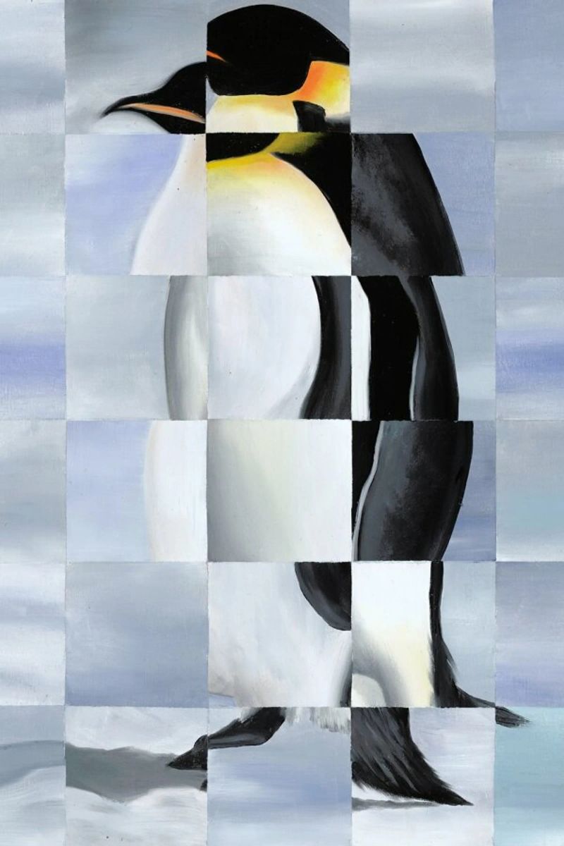 Penguin pellicola backlit da Allison Chaplin