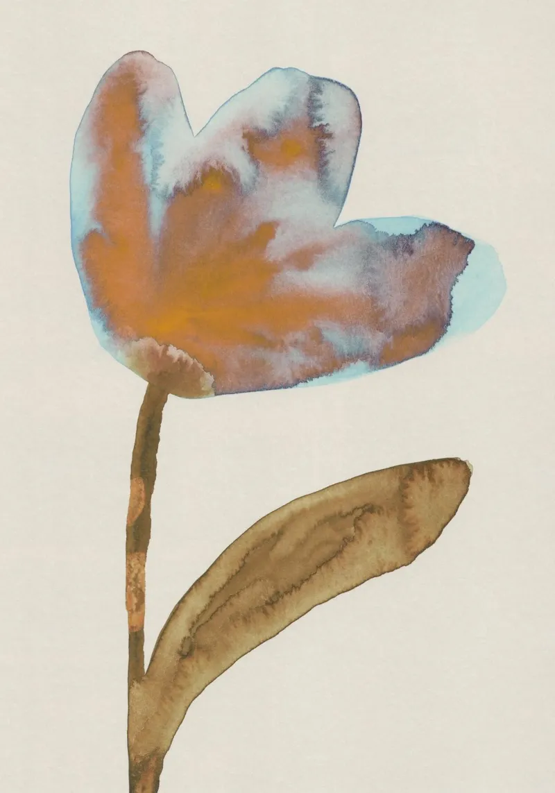 Storie di giardini #2 carta hahnemühle da Alisa Galitsyna