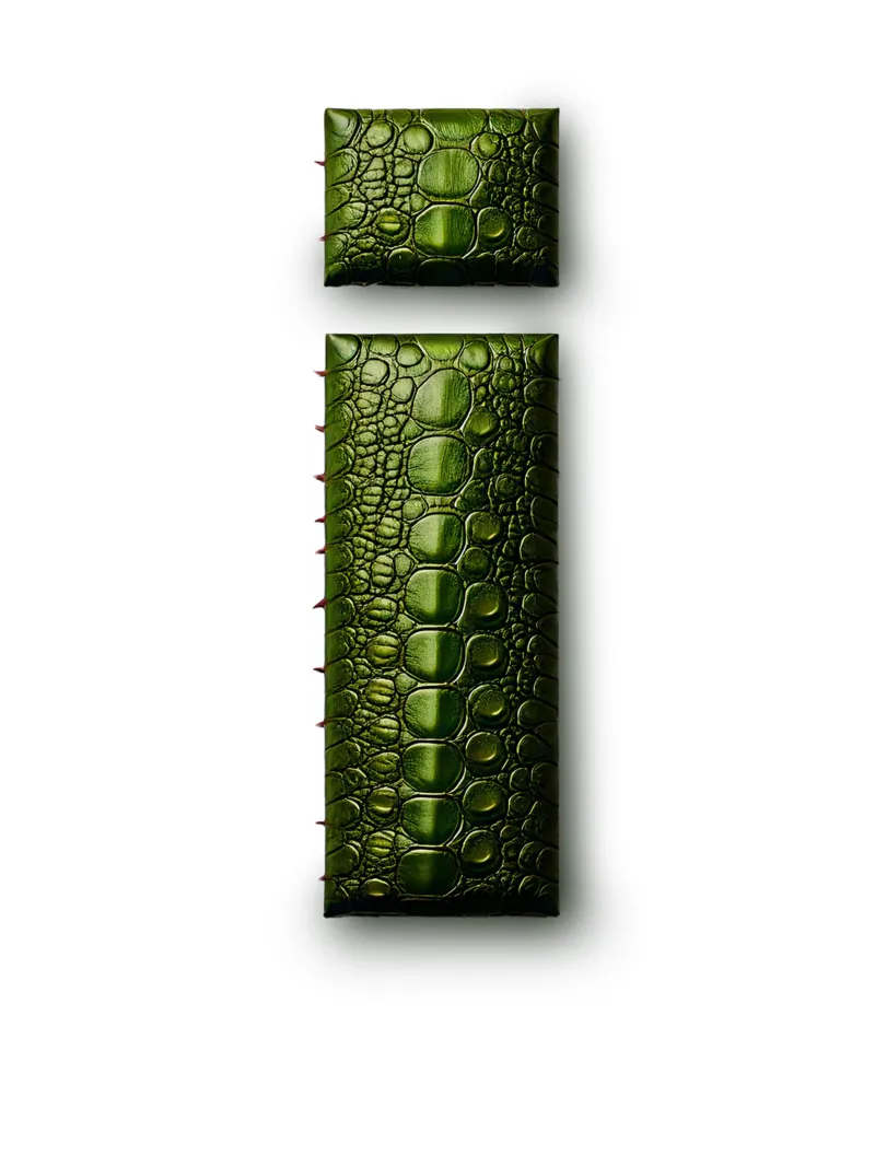 i – iguana pellicola backlit da The True Type