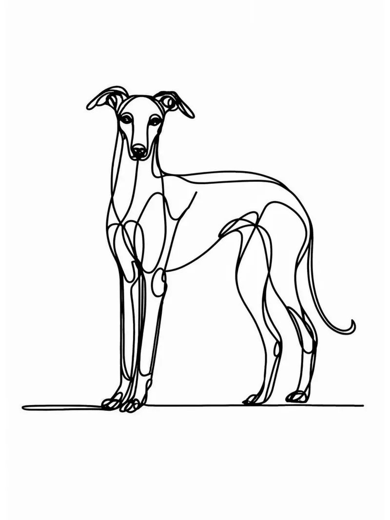 Dessin au trait d'un chien lévrier hahnemühle de WijdevenDesign