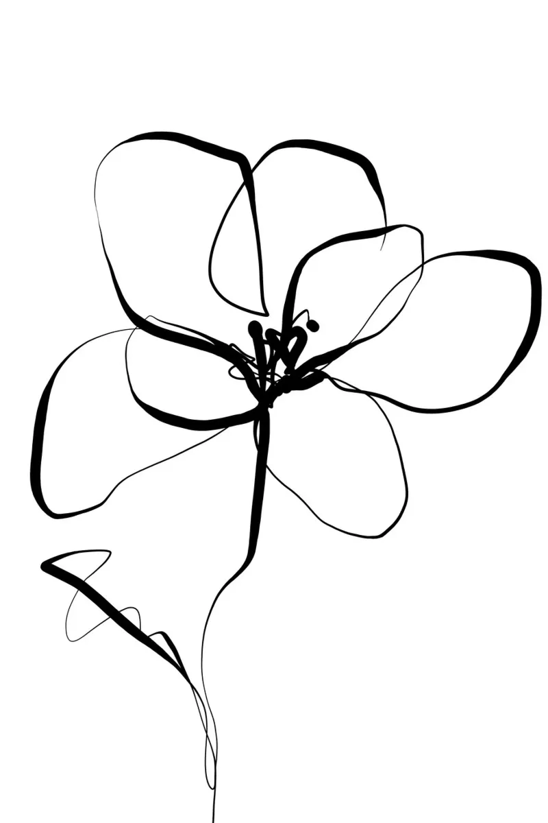 Gatti e puntini - Line Art Magnolia pellicola backlit da The Artcircle