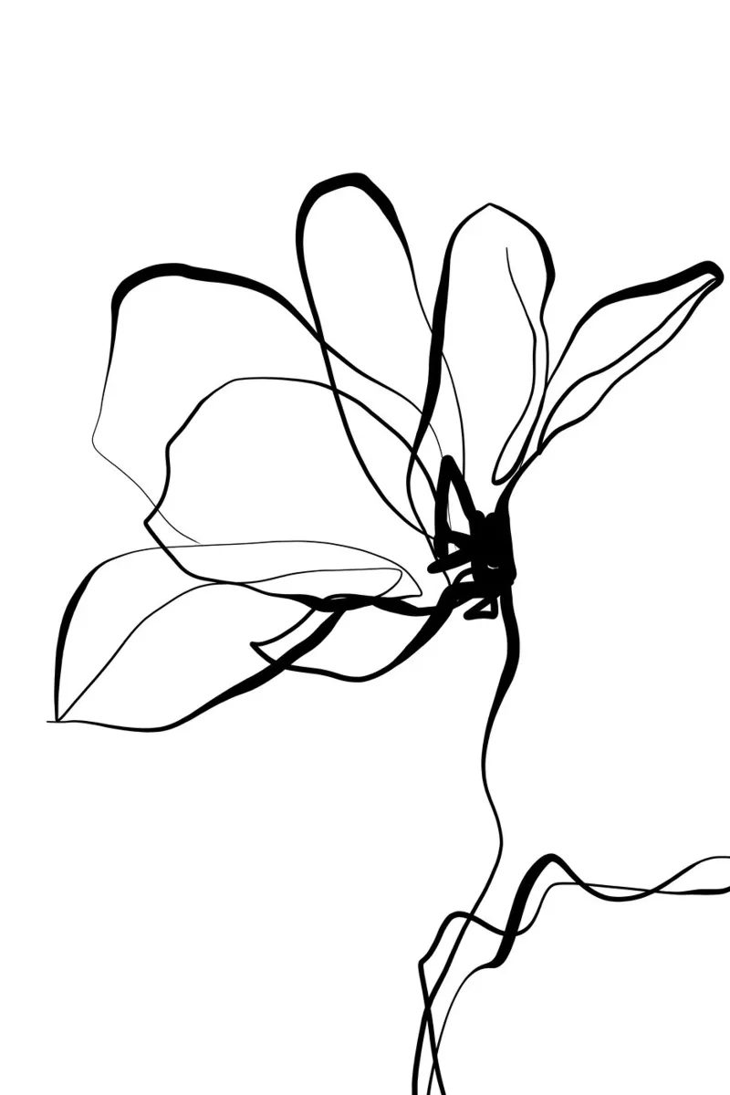 Gatti e puntini - Line Art Magnolia 02 pellicola backlit da The Artcircle