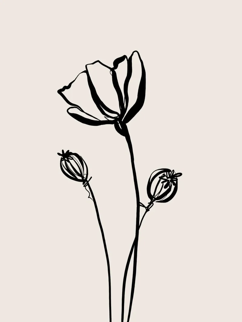 Gatti e puntini - Line Art Poppy 02 pellicola backlit da The Artcircle