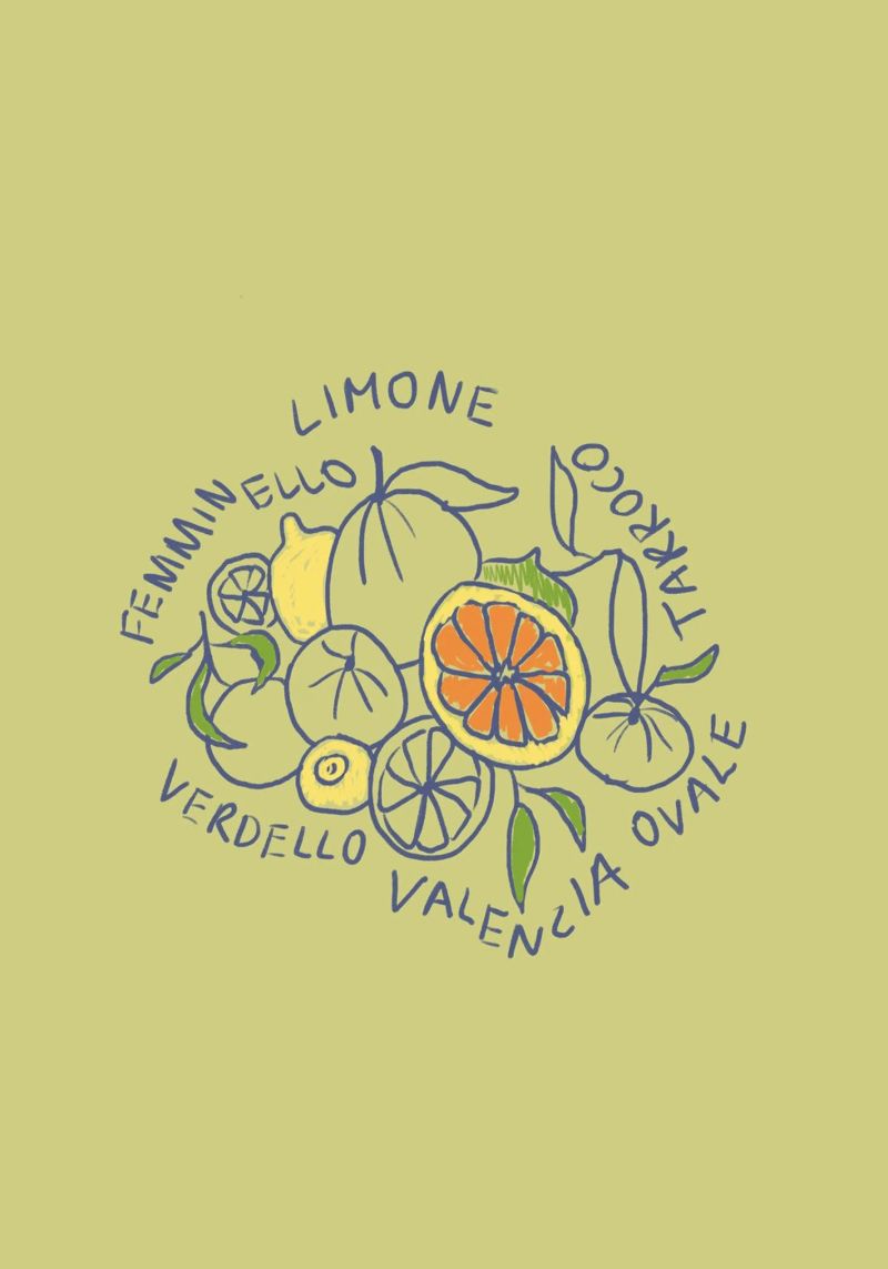 Limone - Zitrone & Orange poster da Studio Dolci