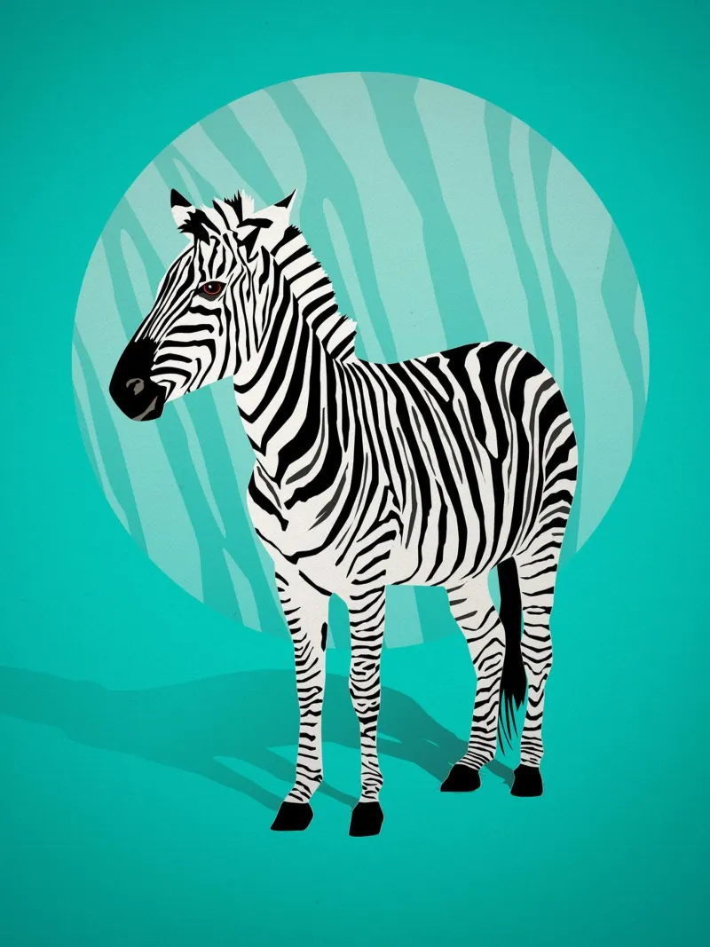 Zebra Liebe, stark in Türkis Hahnemühle von CalliLetters