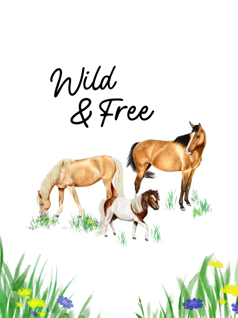 Wild & Free • Horses poster with aluminum frame by Moonlit Illustrations