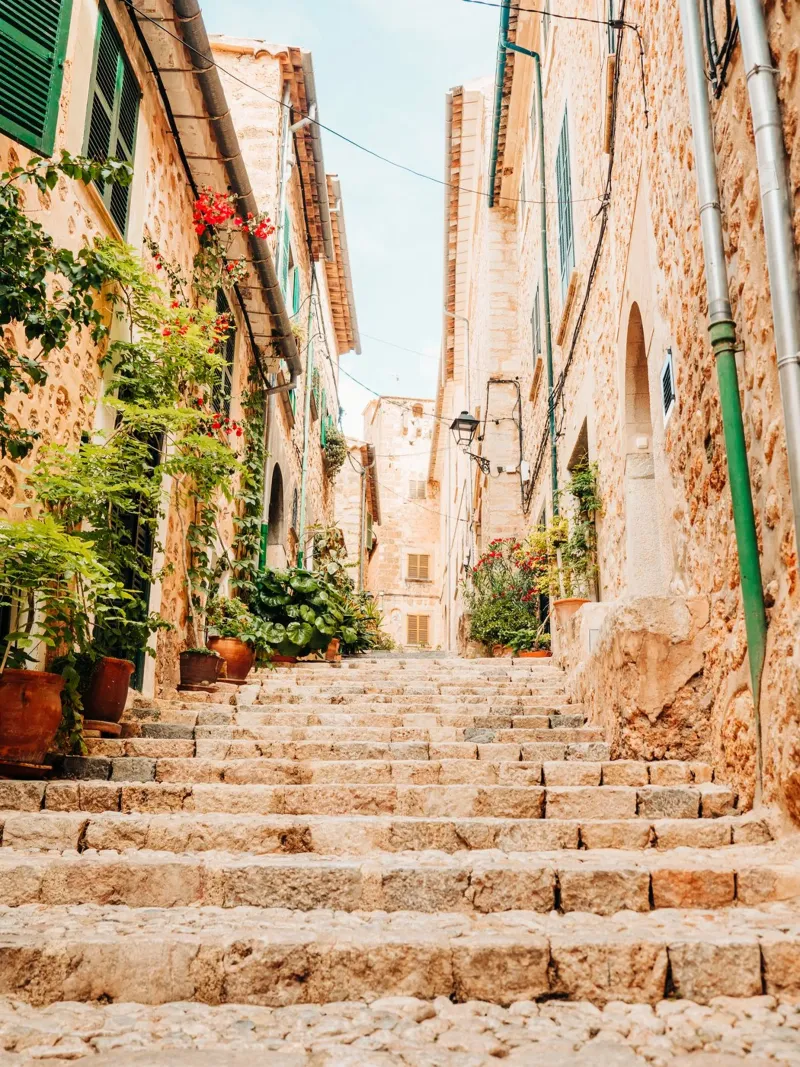 Mallorca - Steintreppe mit grünen Pflanzen in Fornalutx Hahnemühle von Bold and Retro