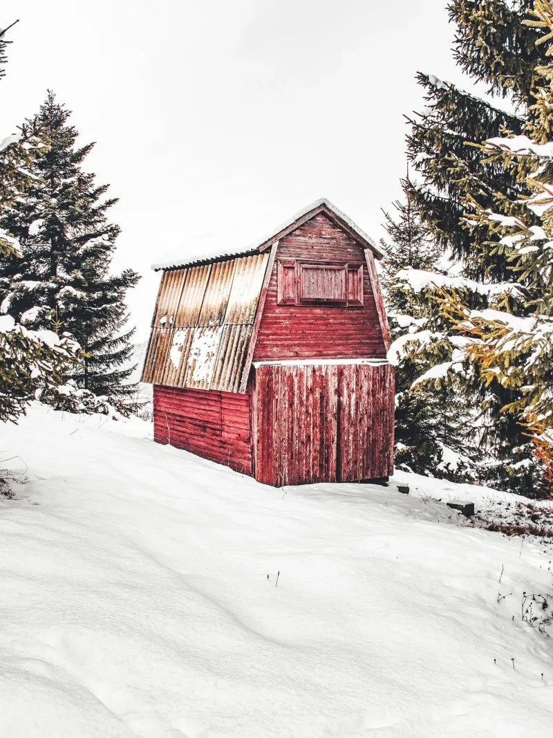 Red barn in the snow - Winter landscape motif alu-dibond by Whole©