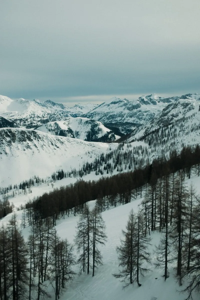 Snowy Alps pellicola backlit da Sebastian Hilgetag