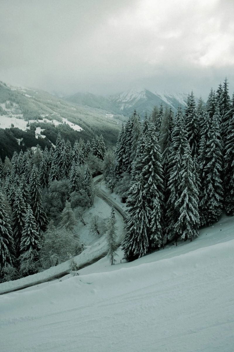 The Path through Winter carta hahnemühle da Sebastian Hilgetag