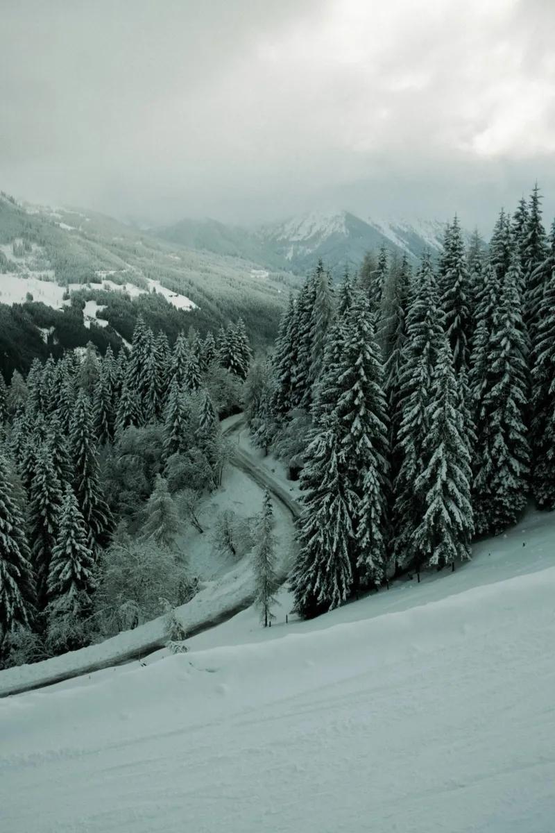 The Path through Winter poster da Sebastian Hilgetag