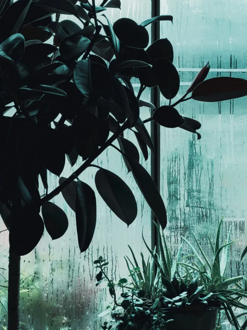 Wet Windows carta hahnemühle da Sebastian Hilgetag