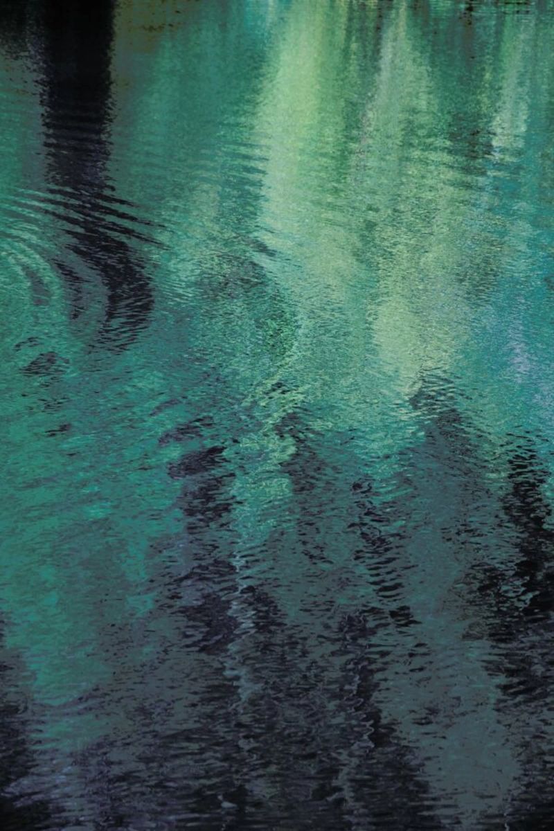 Forest In The Lake pellicola backlit da Studio Nahili