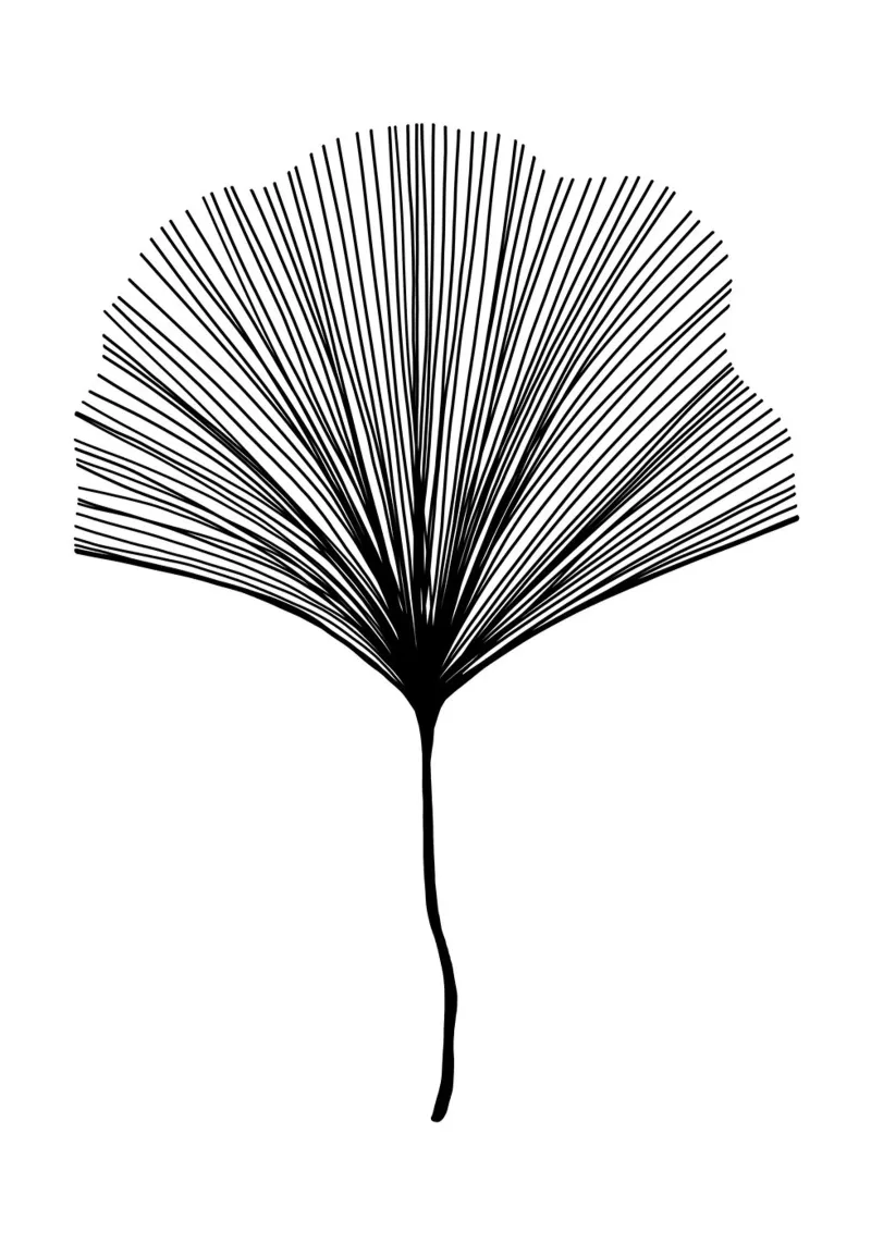 Ginkgo mid century - Linienzeichnung Line Art pellicola backlit da BAINAI