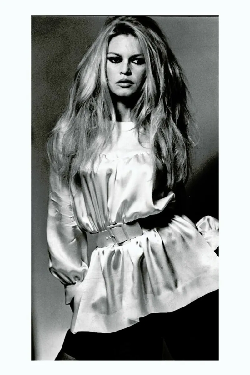 Brigitte Bardot II pellicola backlit da Gallery Print and Art Limited