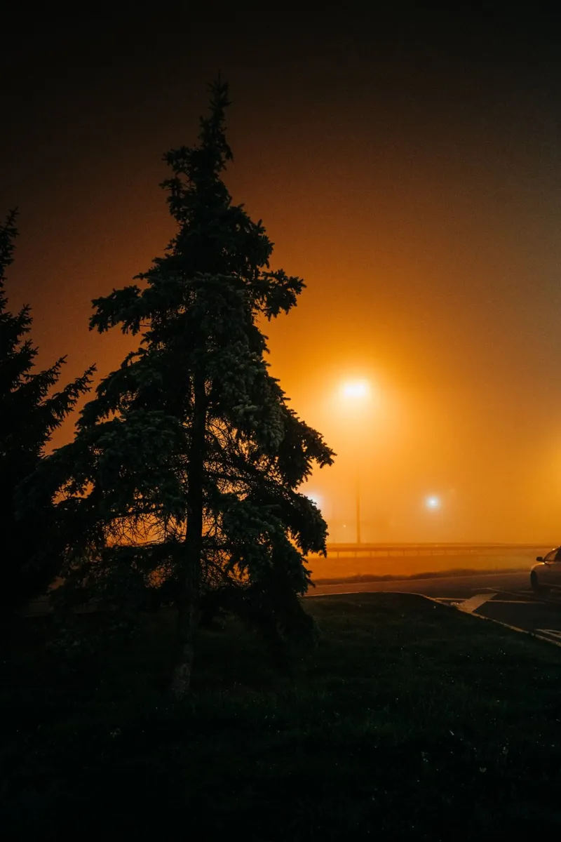 Fog photo, gloomy & moody atmosphere on motorway car park hahnemühle by Bold and Retro
