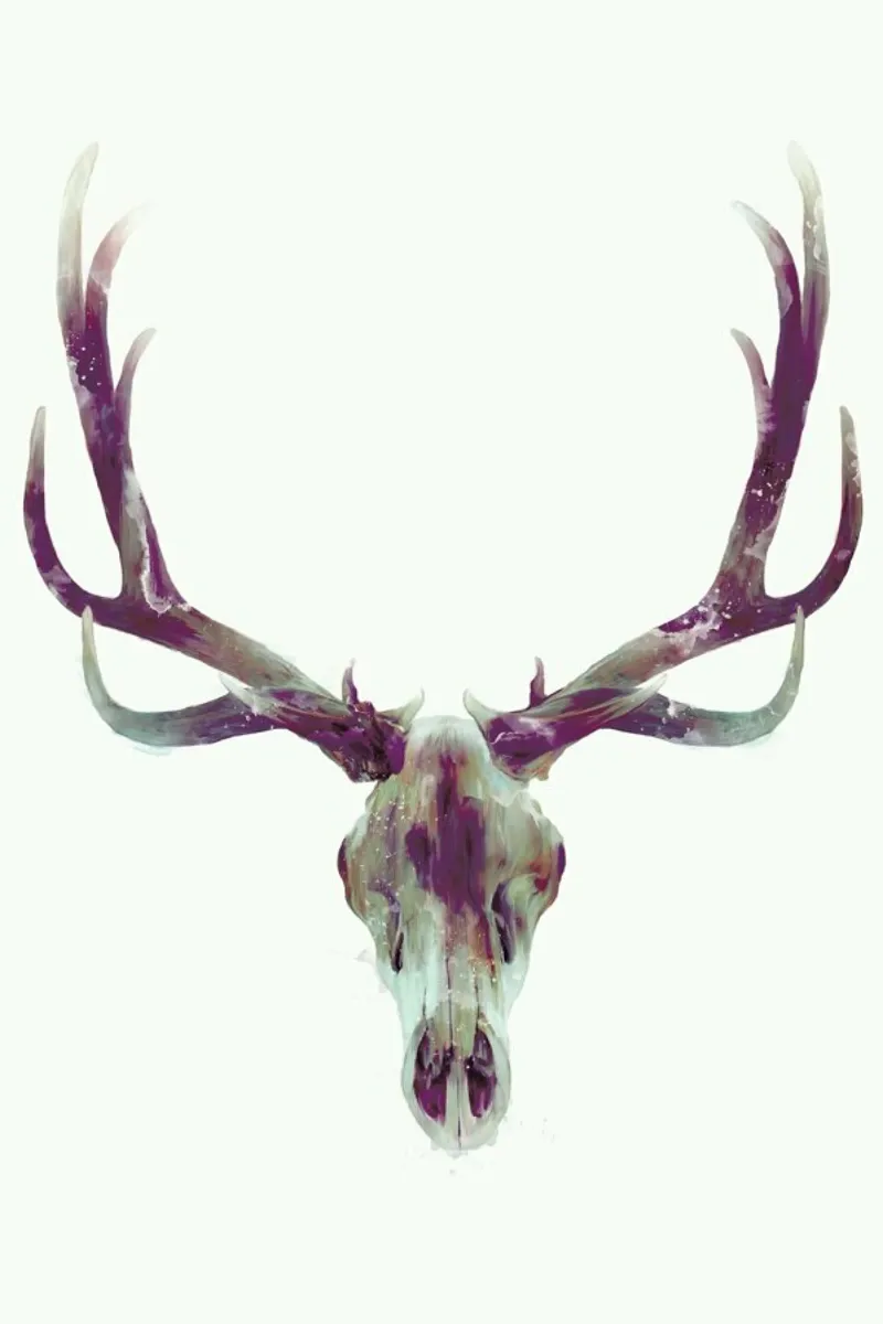 Elk Skull Acryl-Glas von Amy Hamilton