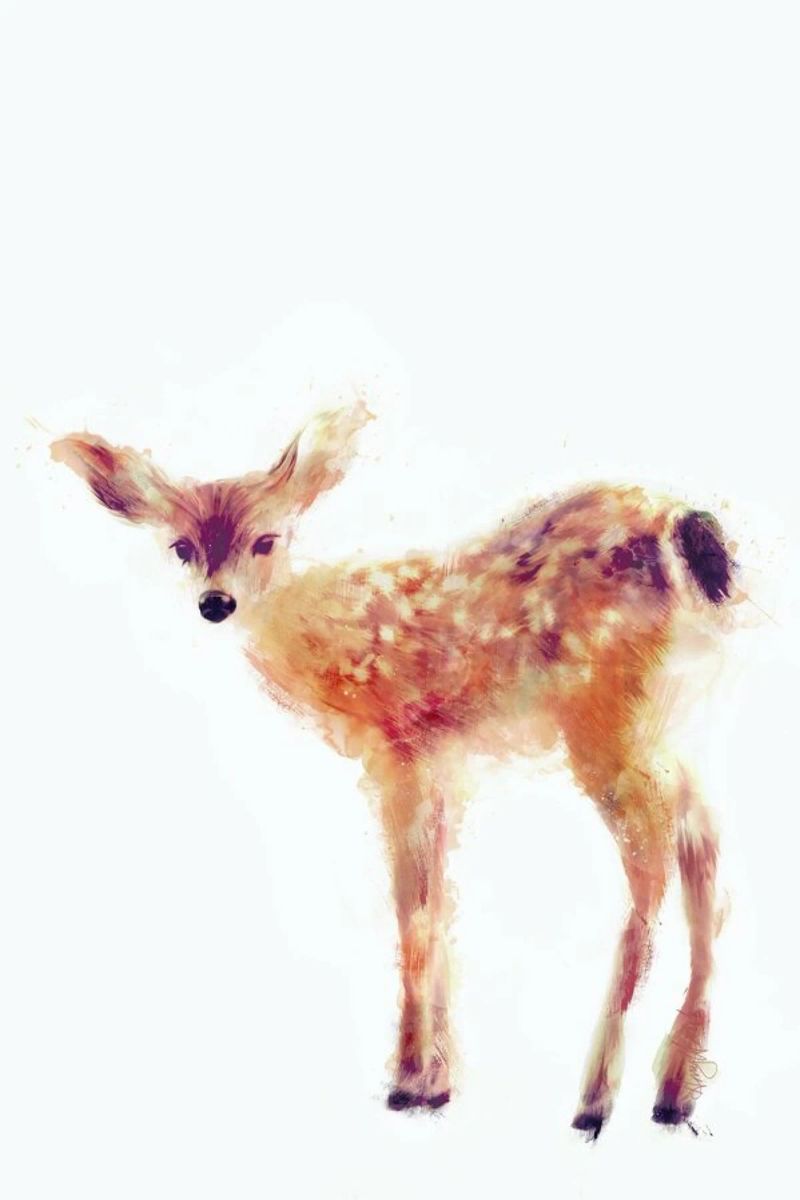 Fawn Leinwand von Amy Hamilton