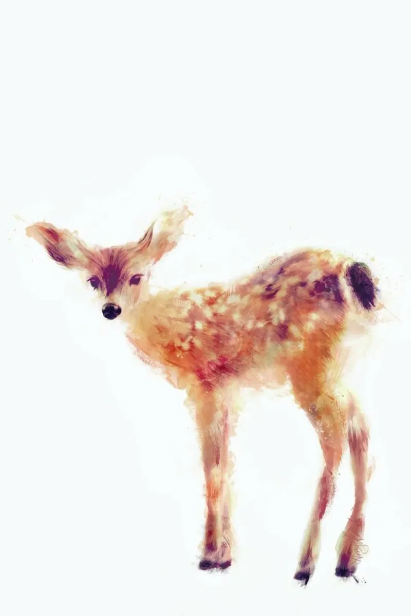 Fawn hahnemühle by Amy Hamilton