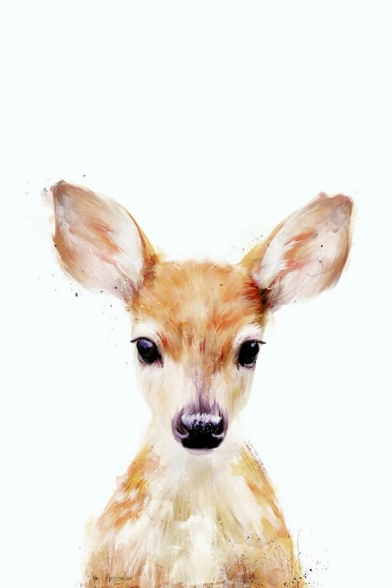 Little Deer Leinwand von Amy Hamilton