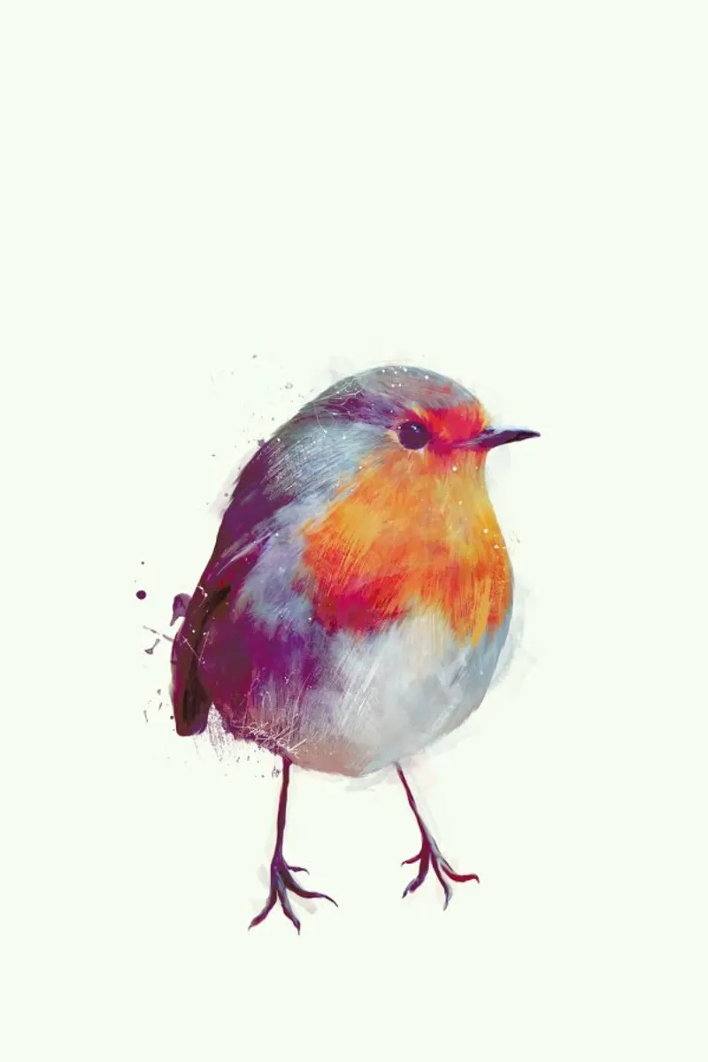 Winter Robin poster met aluminium frame van Amy Hamilton