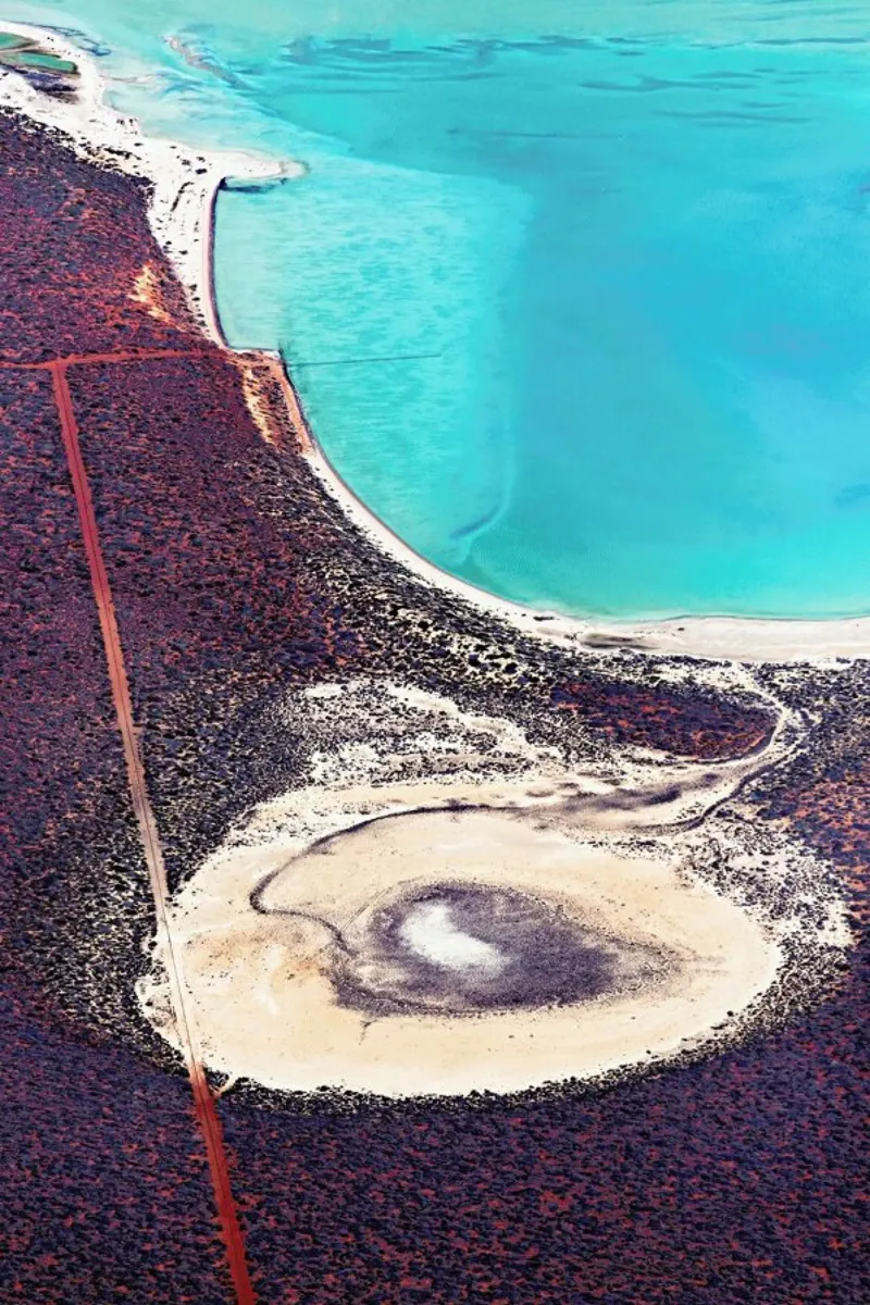 Shark Bay 12 pellicola backlit da Simon Butterworth